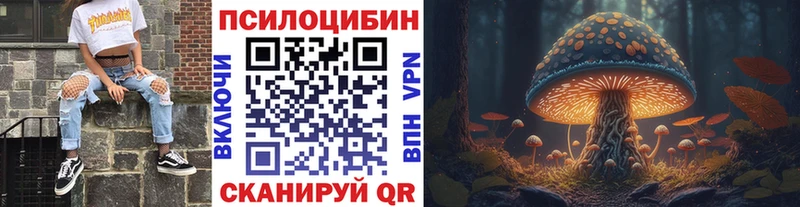 Псилоцибиновые грибы Psilocybine cubensis  Лесозаводск 