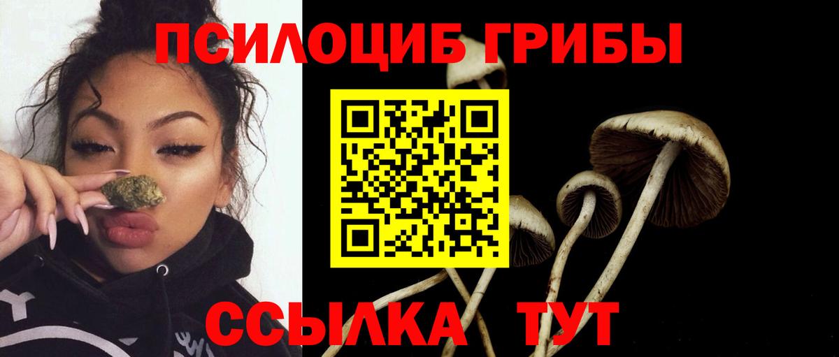 Псилоцибиновые грибы Psilocybine cubensis  Галлюциногенные грибы GOLDEN TEACHER  Лесозаводск  Вход с VPN 