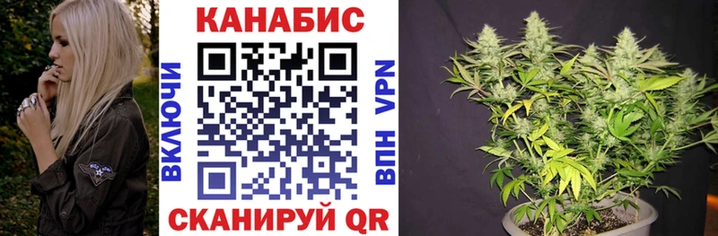 Шишки марихуана White Widow продажа наркотиков Лесозаводск